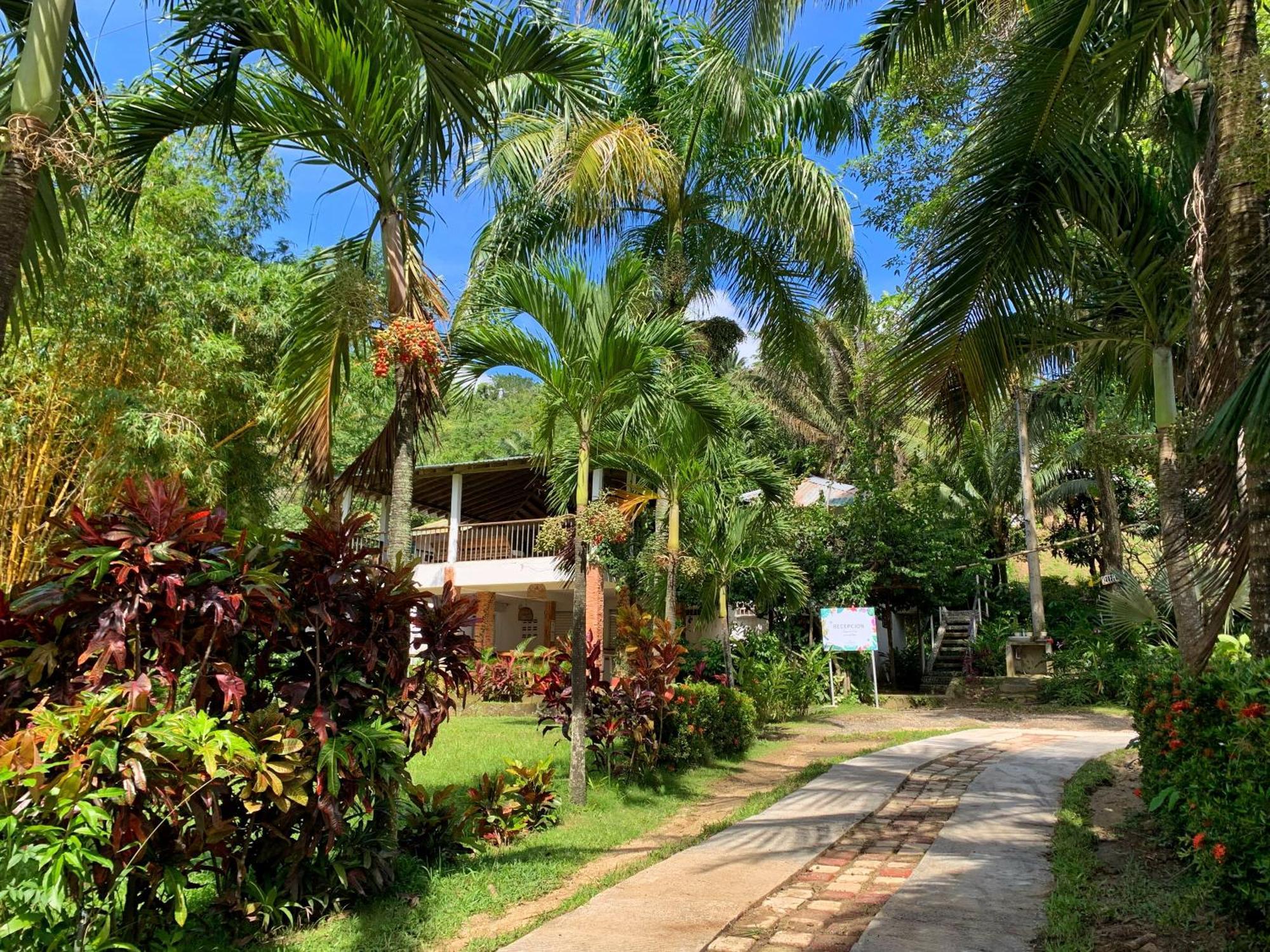 Hotel La Casablanca Tayrona Calabazo  Extérieur photo